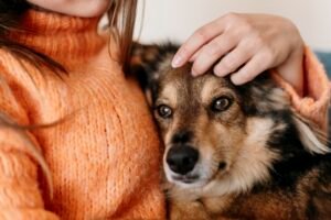 MI PERRO, ¿PUEDE SER MI HEREDERO?